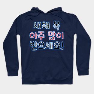 Very Happy New Year in Korean - 새해 복 아주 많이 받으세요! Hoodie